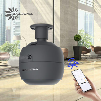 İyi fiyat Ticari Usb Aroma Difüzör Elektrikli Nebulizatör Özelleştirilmiş Popüler çevrimiçi