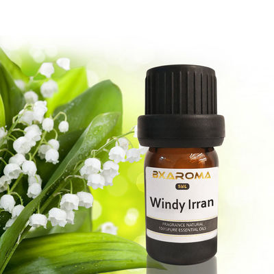 İyi fiyat Ilan Aroma Difüzör Esansiyel Yağı Sürdürülebilir Araba Kokusu Kokusu 500ml çevrimiçi
